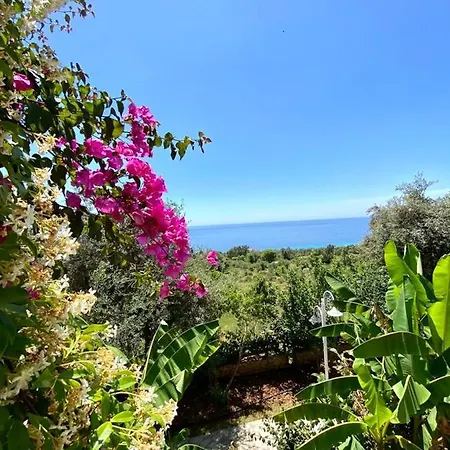 Apart Otel The Olives Terrace Residences