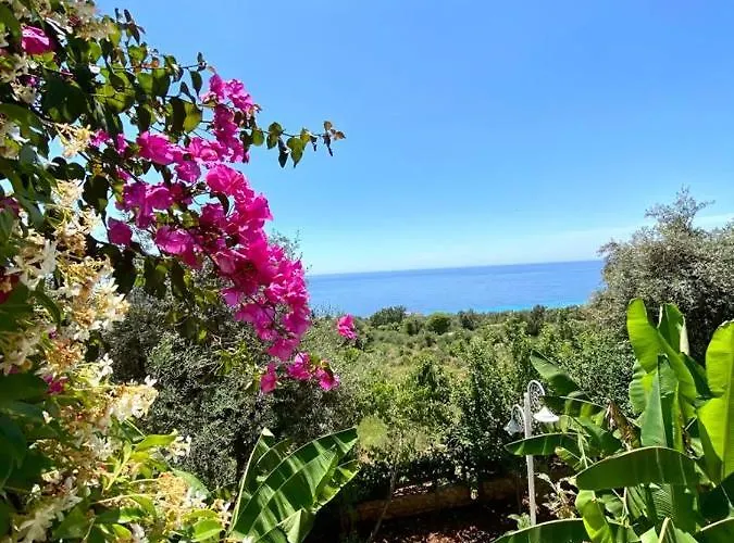 Apart-hotel The Olives Terrace Residences