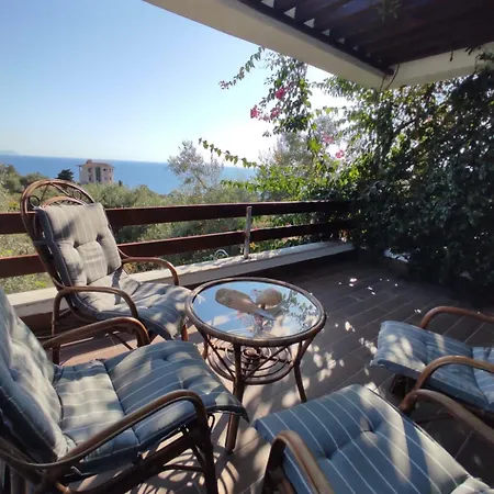 The Olives Terrace Residences 公寓式酒店