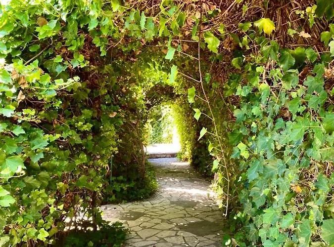 Aparthotel The Olives Terrace Residences